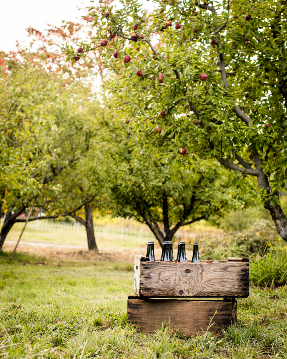 cider_location_2592
